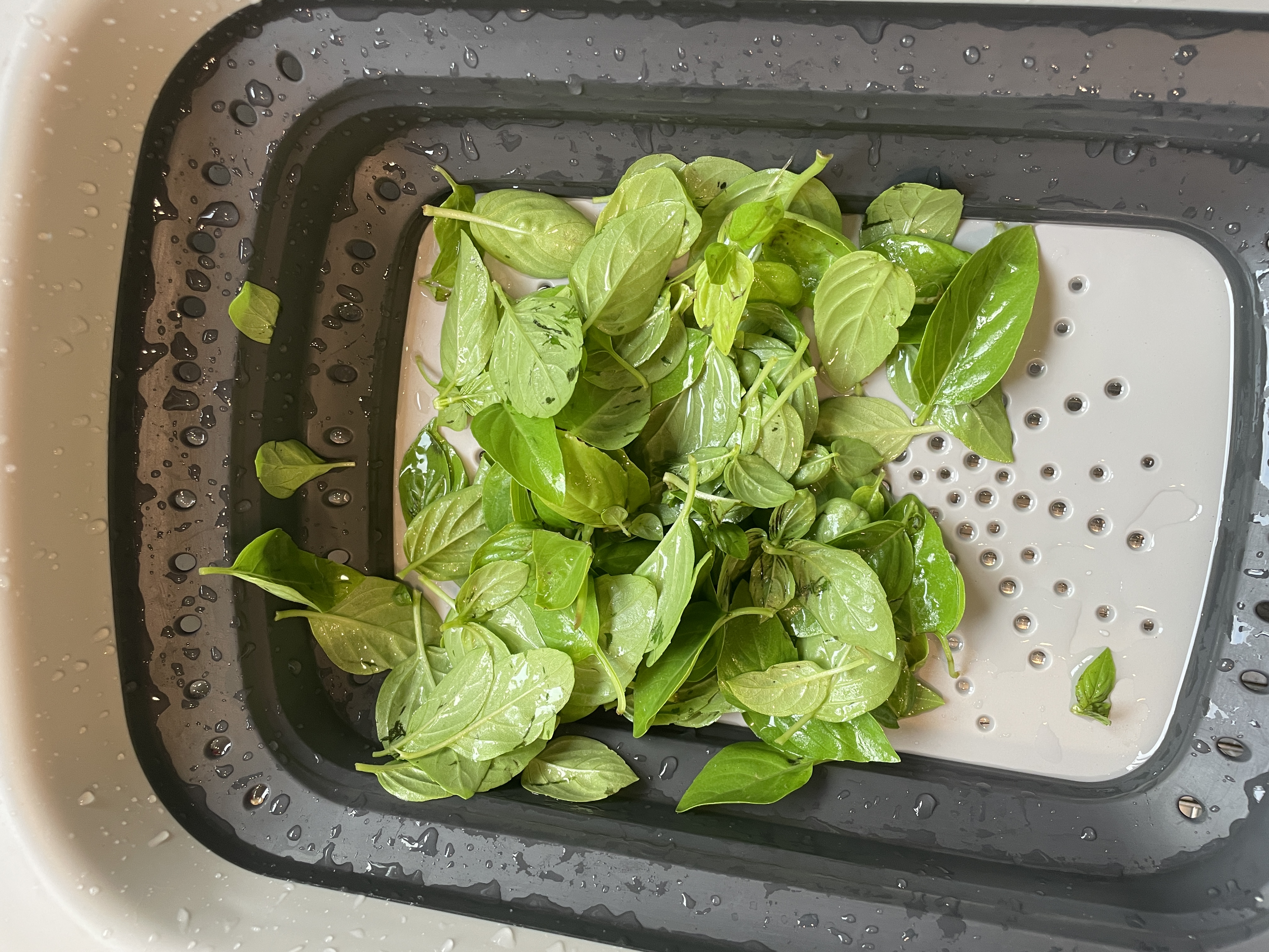 washedBasil